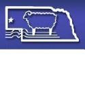 Brown Sheep