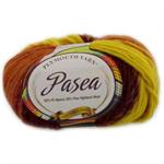 Plymouth Yarn Pasea